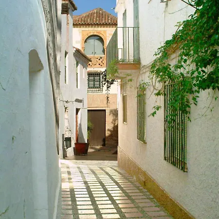 Apartment De Lujo En Centro Marbella